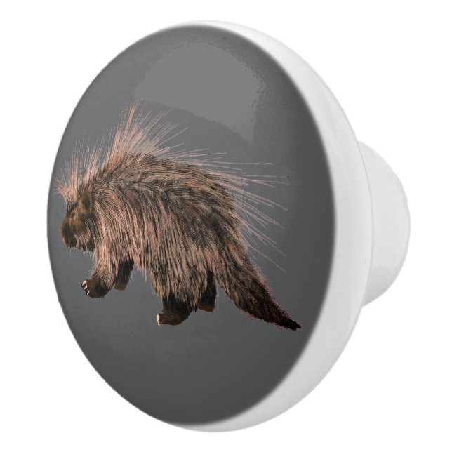 Prickiga Porky Knopp (Höger)