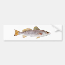 Prickiga Seatrout Bildekal
