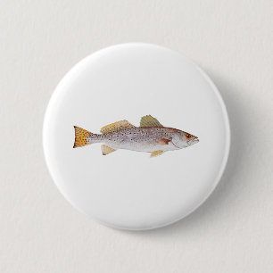 Prickiga Seatrout Knapp