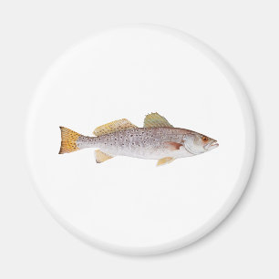 Prickiga Seatrout Magnet