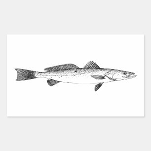 Prickiga Seatrout - spräcklig forellvintage fodrar Rektangulärt Klistermärke