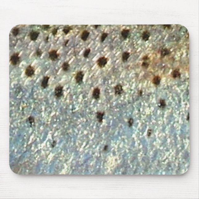 Prickiga "spräckliga" Seatrout vid PatternWear© Musmatta (Framsidan)