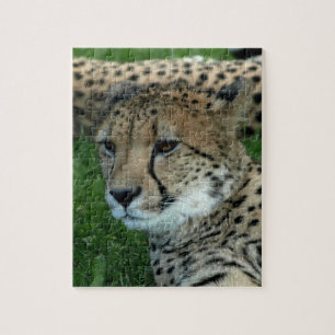 Prickigt Cheetahpussel Pussel