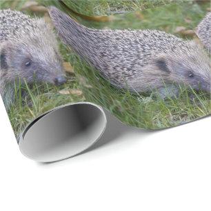 Prickles- Igelkott Inpackningspapper Presentpapper