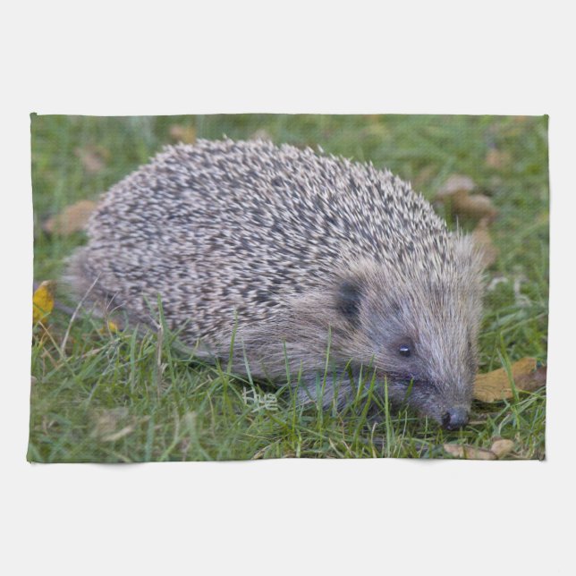 Prickles Kitchen Towel Kökshandduk (Horisontell)