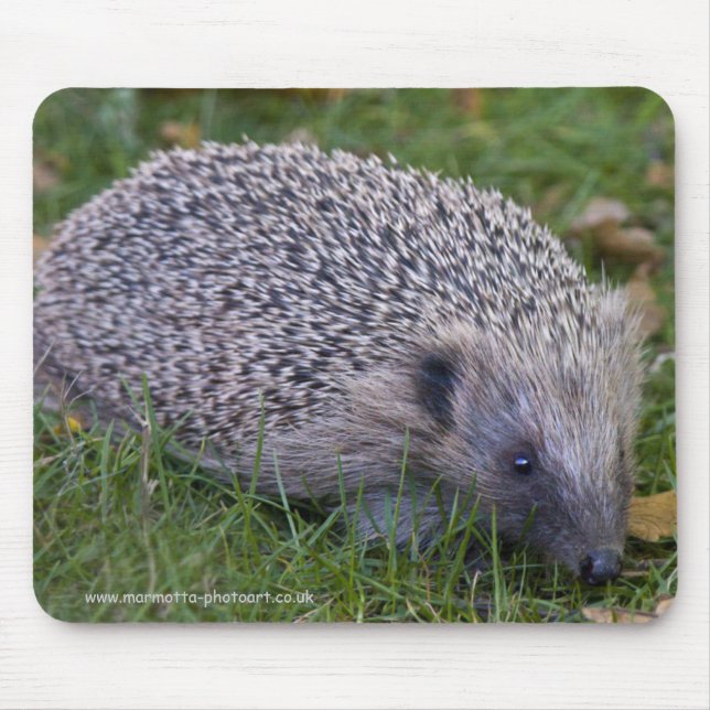 Prickles Mousemat Musmatta (Framsidan)
