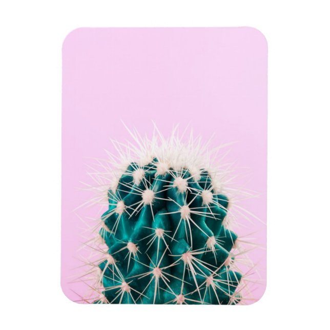 Prickley Cactus på Rosa Magnet (Vertikal)