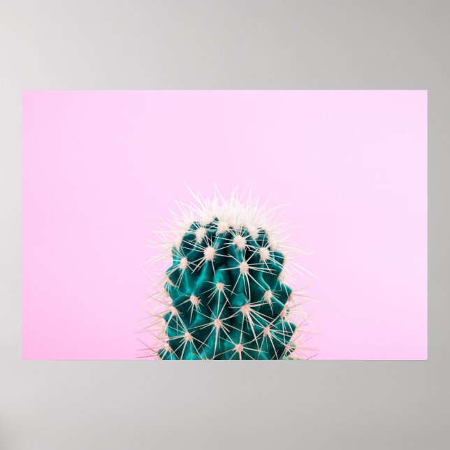 Prickley Cactus på Rosa Poster (Framsidan)