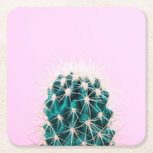 Prickley kaktus på rosor underlägg papper kvadrat