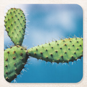 Prickley kaktus underlägg papper kvadrat