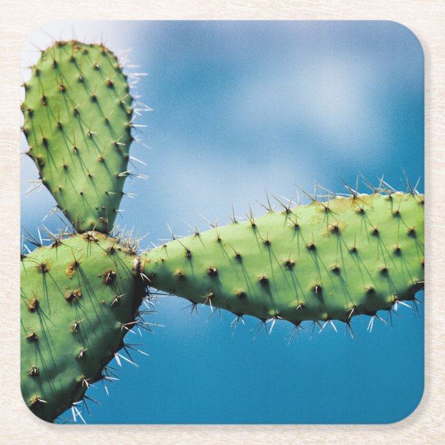 Prickley kaktus underlägg papper kvadrat (Framsidan)