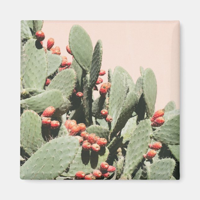 Prickley Pear Cactus Magnet (Framsidan)