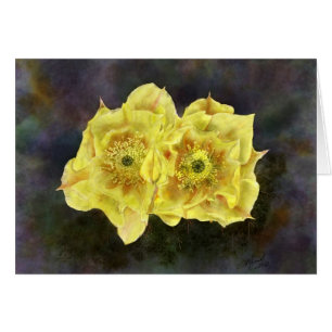 Prickley Pear Flowers OBS Kort