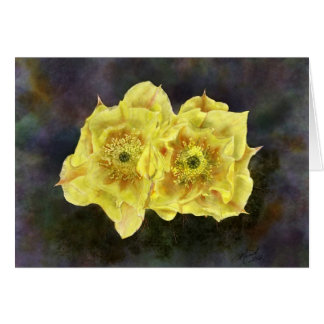 Prickley Pear Flowers OBS Kort