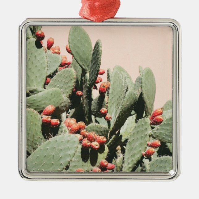 Prickley Pearkaktus Julgransprydnad Metall (Framsidan)