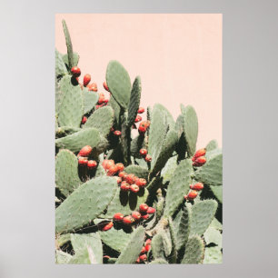 Prickley Pearkaktus Poster