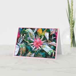 Prickly Bromie Kort
