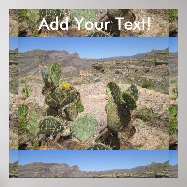Prickly Cactus (Fisk Bäck Backe Vista) Poster (Framsidan)