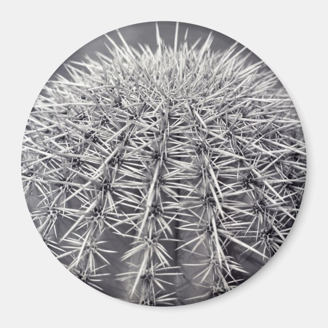 Prickly Cactus Sonoran Desert Refrigerator Magnet (Framsidan)