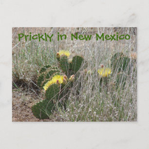 Prickly i New mexico Vykort
