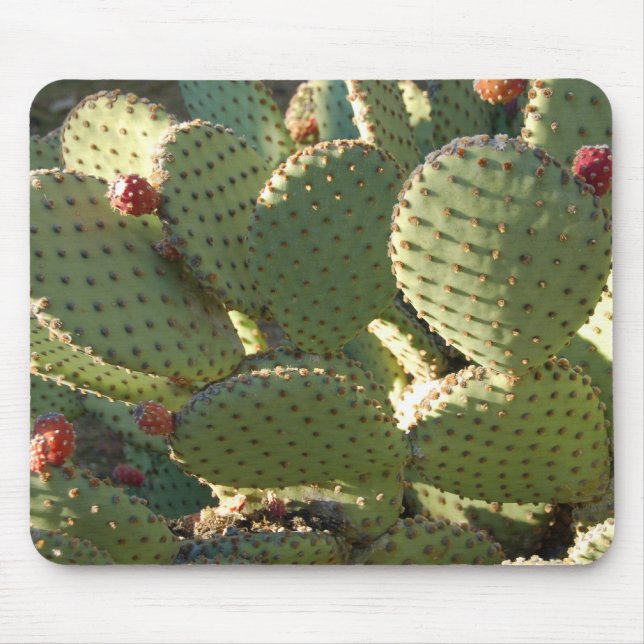 Prickly Mousepad Musmatta (Framsidan)