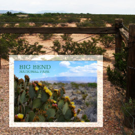 Prickly Pear, Blommar, Sierra del Carmen, Big Bend Vykort