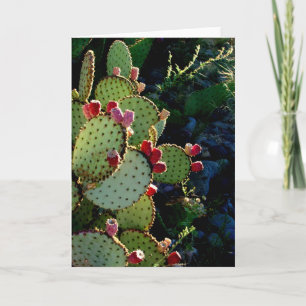 Prickly Pear Cactus Kort