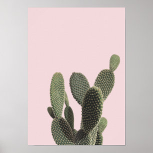 Prickly Pear Cactus och Rosa Poster