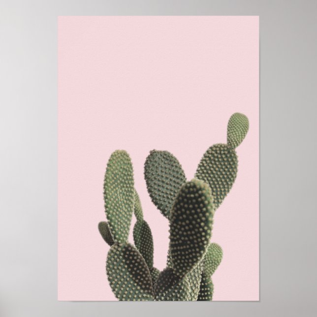Prickly Pear Cactus och Rosa Poster (Framsidan)