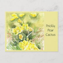 Prickly Pear Kactus Postkort