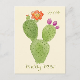 Prickly Pear Kaktus vykort
