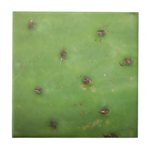 Prickly Pear Pad Kakelplatta