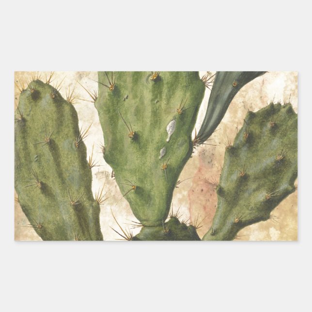 Prickly Pear Rektangulärt Klistermärke (Framsida)