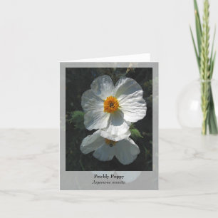 Prickly Poppy - Native Notecard Kort