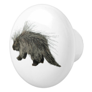 Prickly Porky Knopp