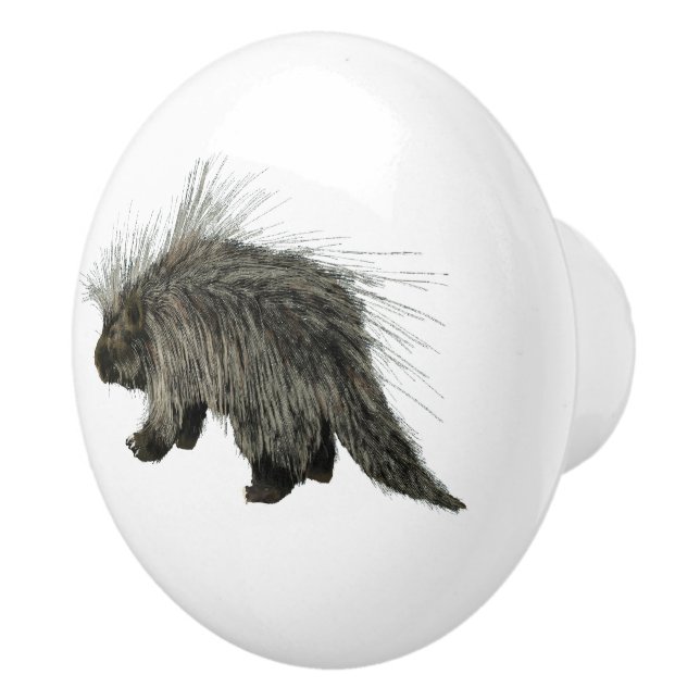 Prickly Porky Knopp (Höger)