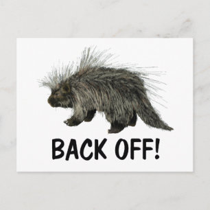 Prickly Porky Vykort