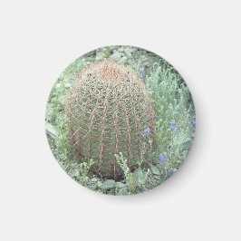 Prickly Rosa Petals Cactus Refrigerator Magnet