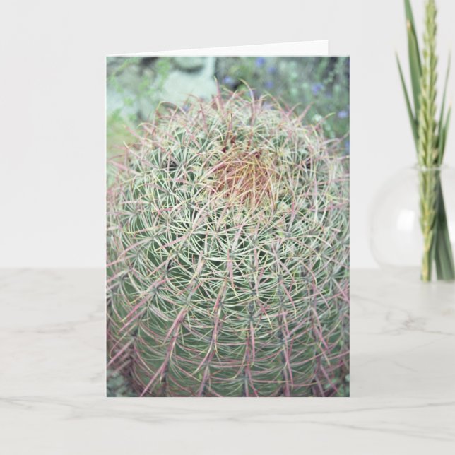 Prickly Rosa Swirl Cactus Hälsning eller Note Card Kort (Framsida)