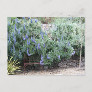 Pride av Madeiras vykort