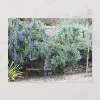 Pride av Madeiras vykort