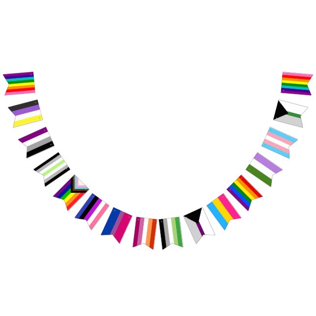 Pride Flag Assortment Garland Vimplar (Alla)
