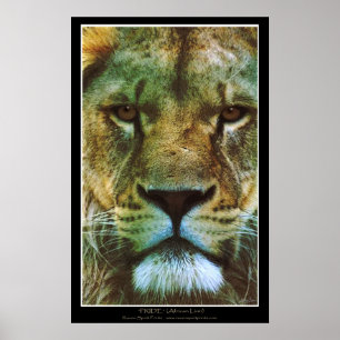 "PRIDE" Lejon utskrift av afrikanska Poster