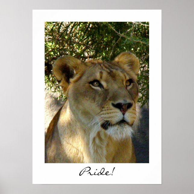 Pride! Poster (Framsidan)