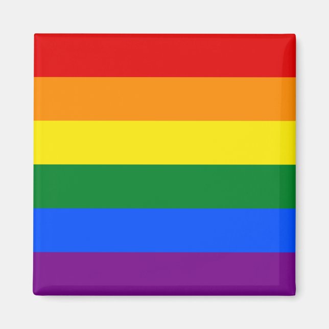 Pride Rainbow Flagga Magnet (Framsidan)
