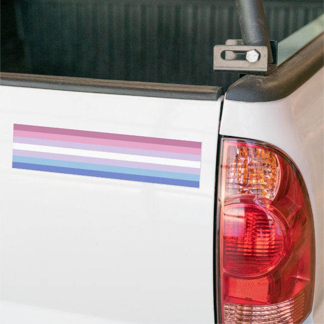 Pridet Bigender Bildekal (På lastbil)
