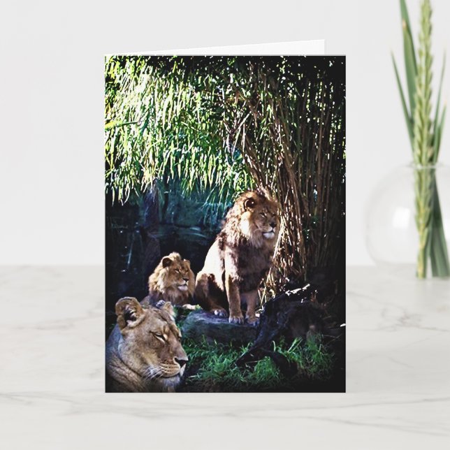 Pridet, hälsningskort kort (Framsida)