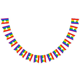 Pridet LGBTQ+ Triangel och regnbåge Vimplar