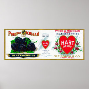 Pridet Michigan Blackberry LabelHart, MI Poster