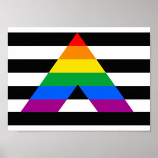 Pridet rak Ally Poster